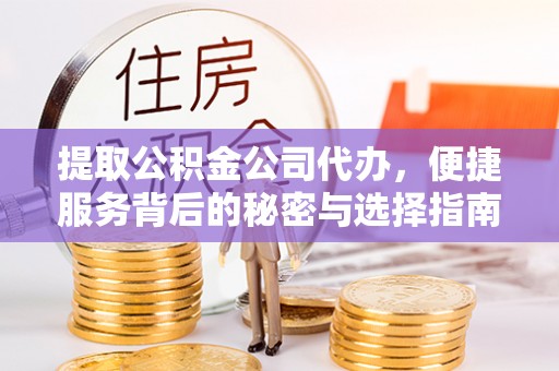 万江提取公积金公司代办，便捷服务背后的秘密与选择指南