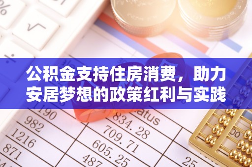 万江公积金支持住房消费，助力安居梦想的政策红利与实践