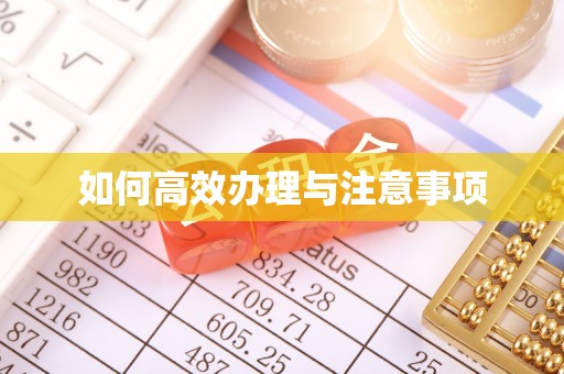 万江如何高效办理与注意事项