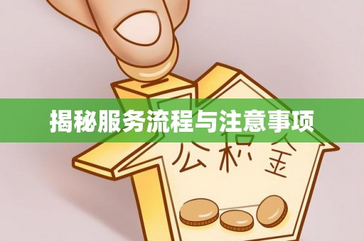 万江揭秘服务流程与注意事项