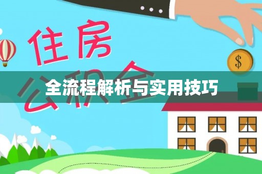 万江全流程解析与实用技巧