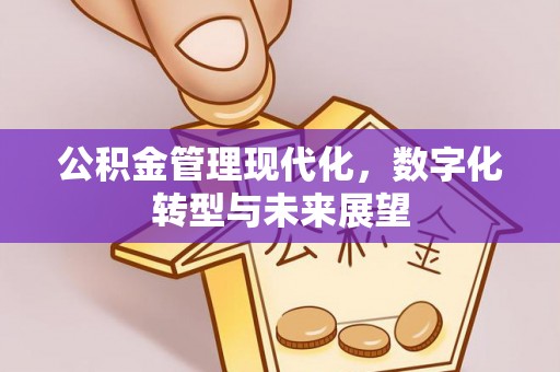 万江公积金管理现代化，数字化转型与未来展望