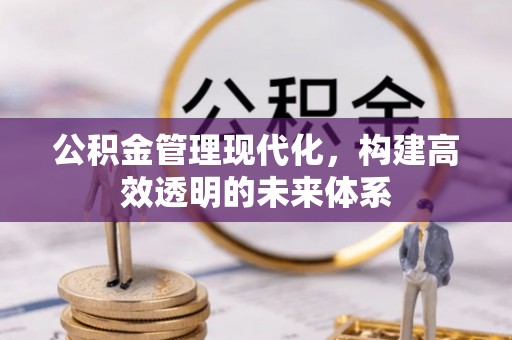 万江公积金管理现代化，构建高效透明的未来体系