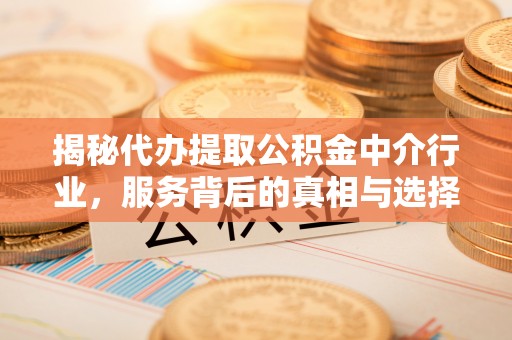 万江揭秘代办提取公积金中介行业，服务背后的真相与选择指南
