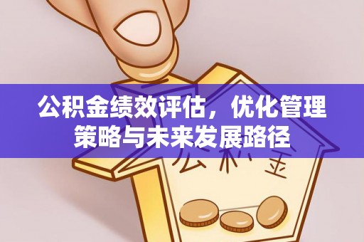 万江公积金绩效评估，优化管理策略与未来发展路径
