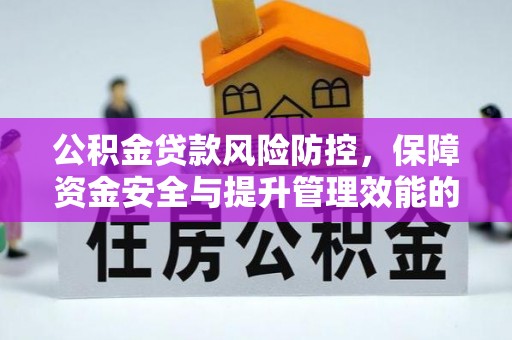 万江公积金贷款风险防控，保障资金安全与提升管理效能的多维度探索