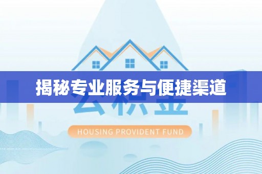 万江揭秘专业服务与便捷渠道