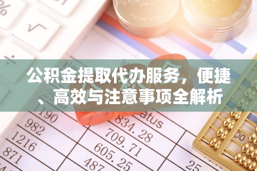 万江公积金提取代办服务，便捷、高效与注意事项全解析