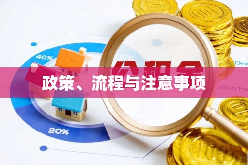 万江政策、流程与注意事项