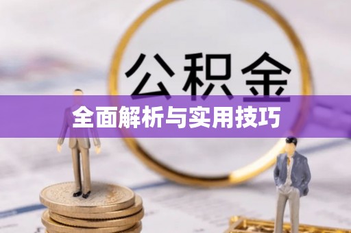 万江全面解析与实用技巧