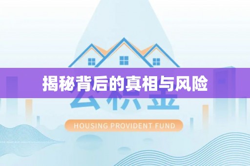 万江揭秘背后的真相与风险