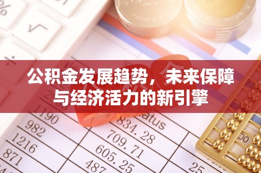 万江公积金发展趋势，未来保障与经济活力的新引擎