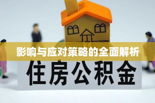 万江影响与应对策略的全面解析