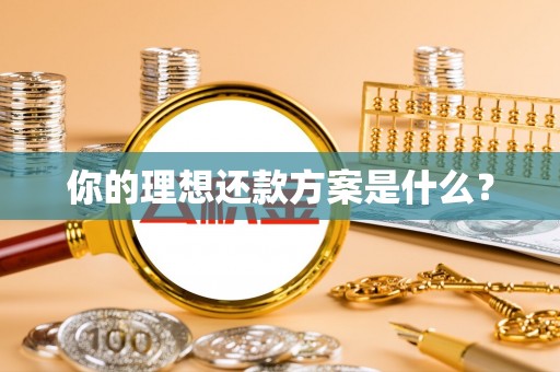 万江你的理想还款方案是什么？