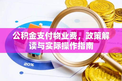 万江公积金支付物业费，政策解读与实际操作指南