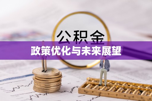万江政策优化与未来展望
