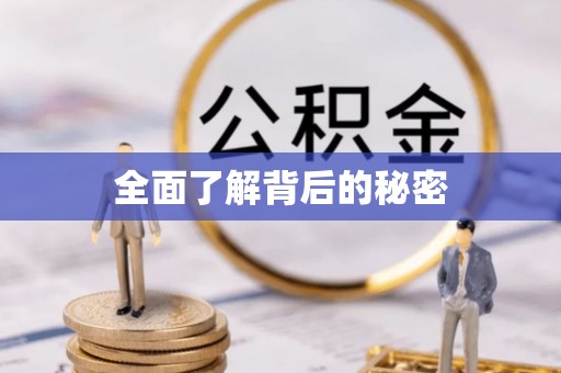 万江全面了解背后的秘密