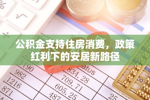 万江公积金支持住房消费，政策红利下的安居新路径