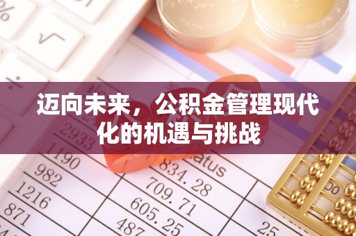 万江迈向未来，公积金管理现代化的机遇与挑战