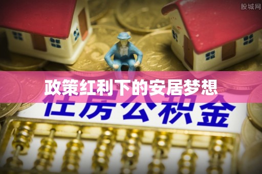 万江政策红利下的安居梦想
