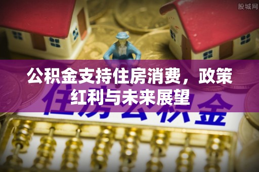 万江公积金支持住房消费，政策红利与未来展望