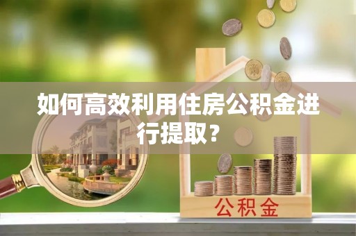 万江如何高效利用住房公积金进行提取？