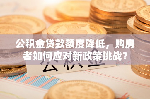 万江公积金贷款额度降低，购房者如何应对新政策挑战？