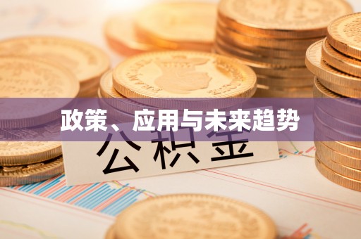 万江政策、应用与未来趋势