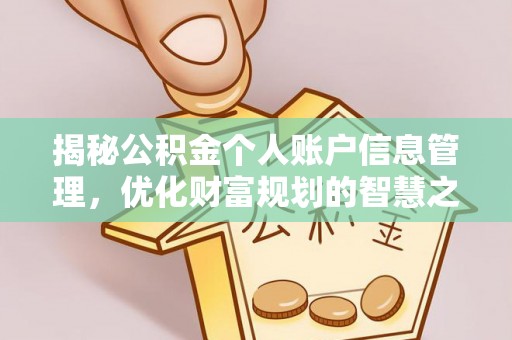 万江揭秘公积金个人账户信息管理，优化财富规划的智慧之选