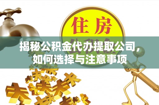 万江揭秘公积金代办提取公司，如何选择与注意事项