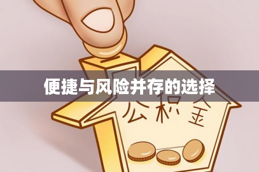 万江便捷与风险并存的选择