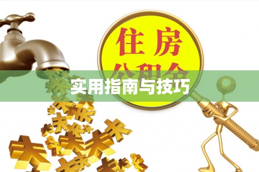 万江实用指南与技巧