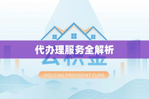 万江代办理服务全解析