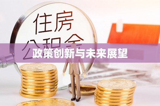 万江政策创新与未来展望